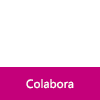 Colabora